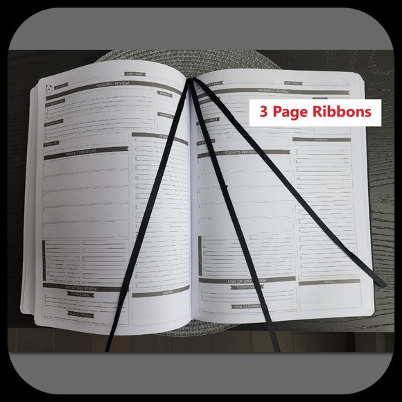 PANDA PLANNER || Non-Dated 12-Month, Weekly, Daily - Picture 13 of 15